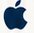 Birchward apple